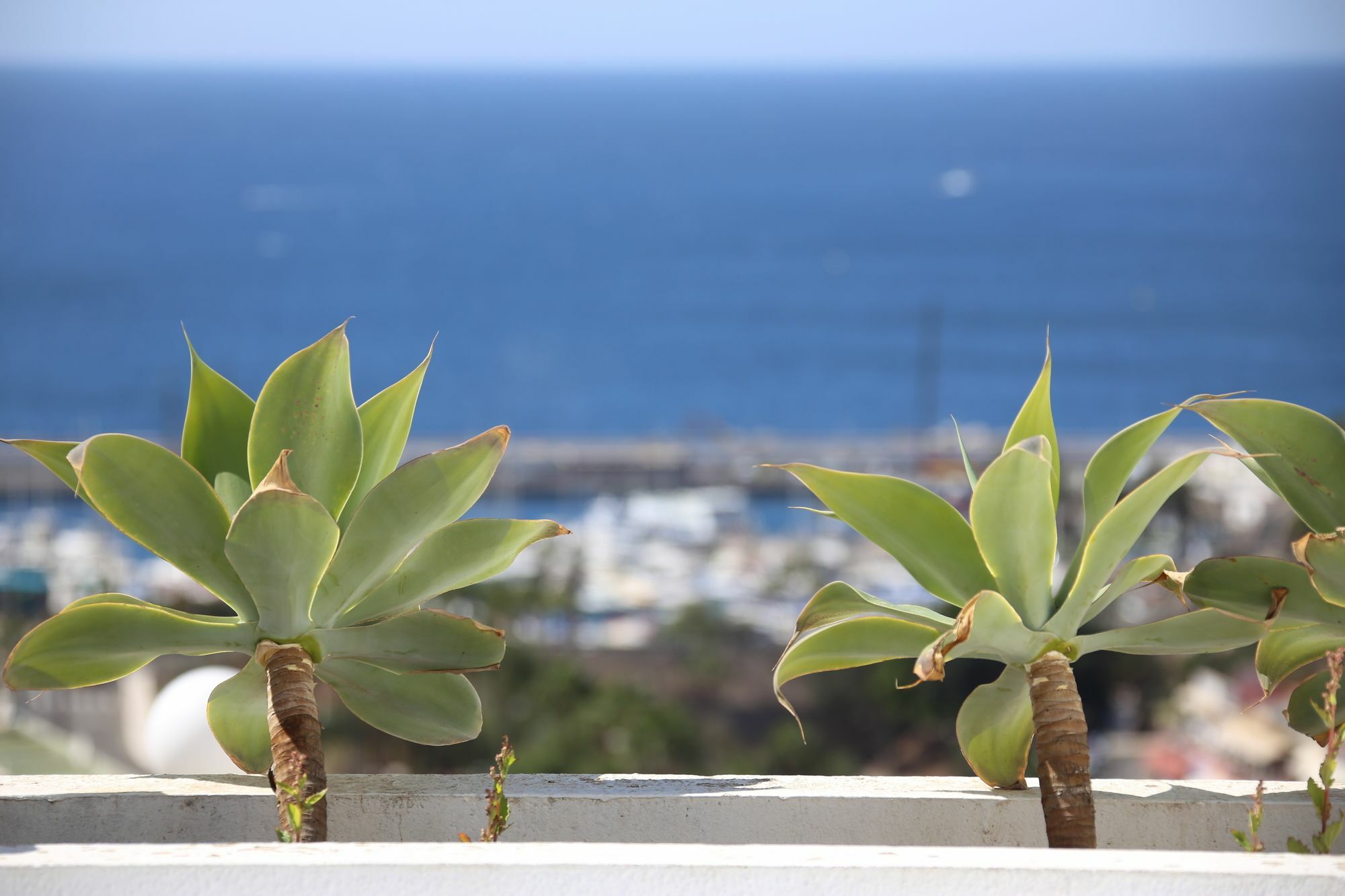 Apartamentos Halley Puerto Rico  Ngoại thất bức ảnh